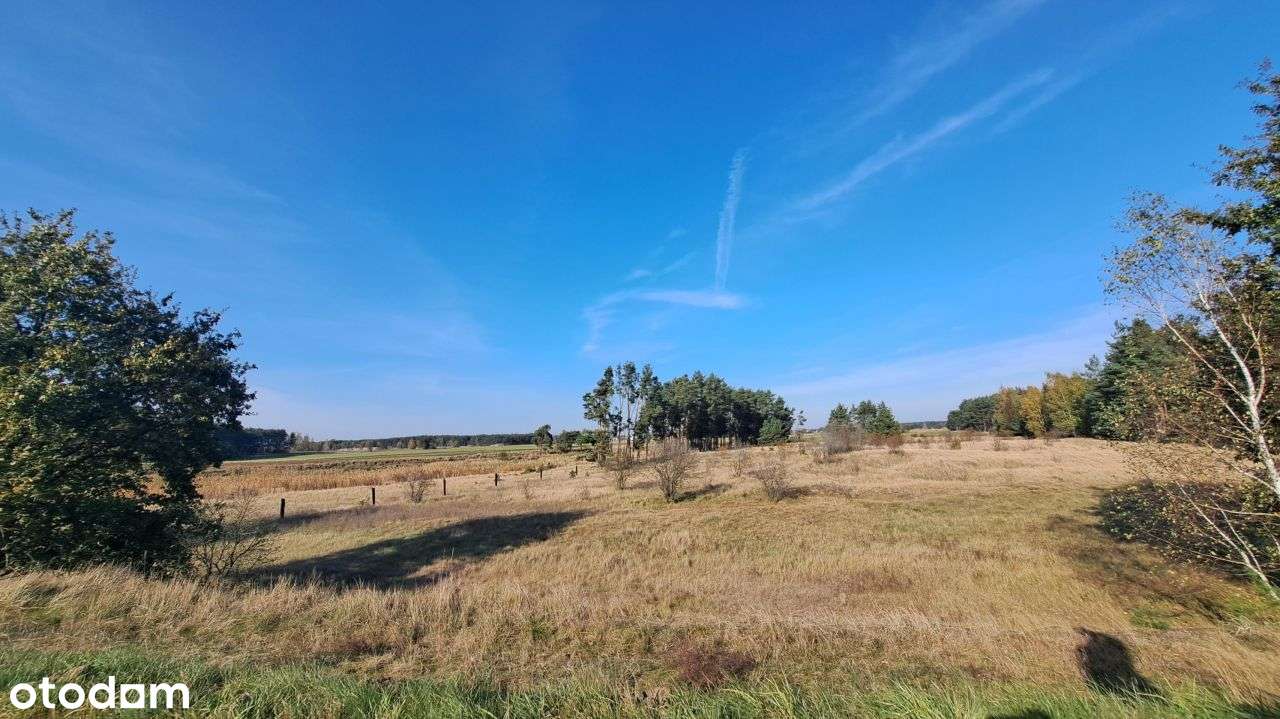 Działka, 39 500 m², Środa Wielkopolska - Pełny obrazek: 4/15