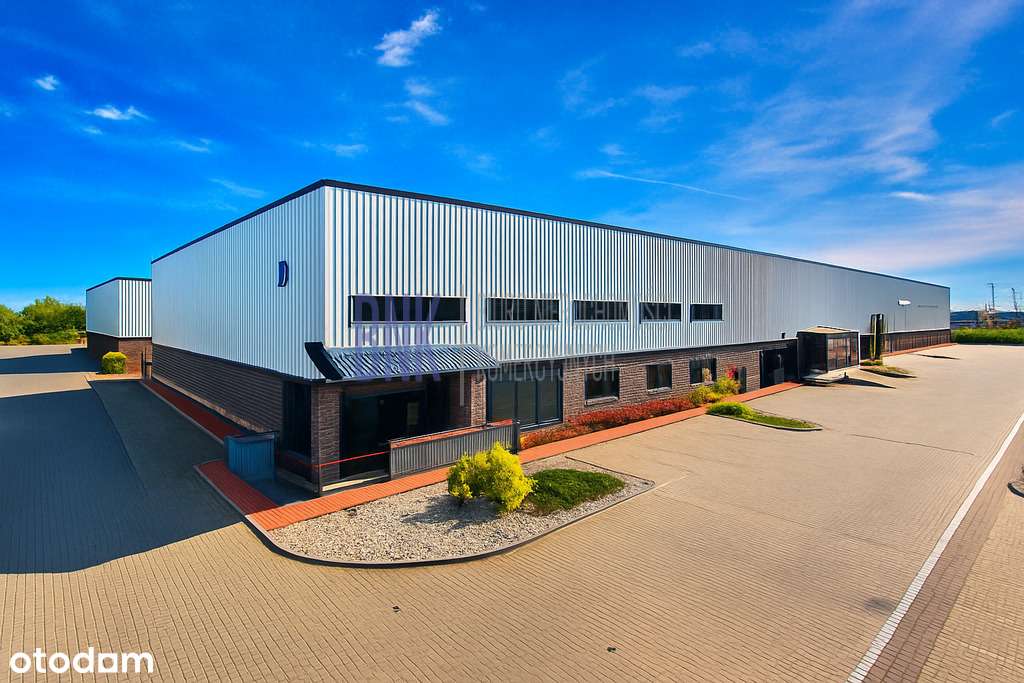 Magazyn 1100m² – Okęcie, lotnisko, top lokalizacja - Pełny obrazek: 5/5