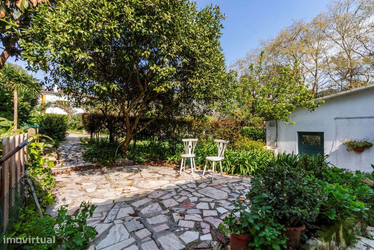 Moradia T6 c/ Terreno de 1600m2 c/ Piscina, Garagem e Anexos em Colare-17