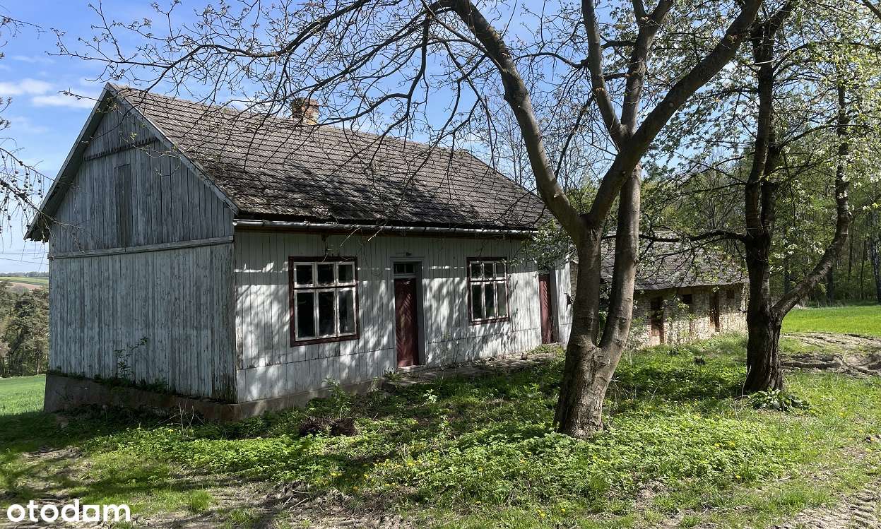 Siedlisko na polanie, pod stadninę lub agroturystykę, 30 min od KRK - Pełny obrazek: 4/12