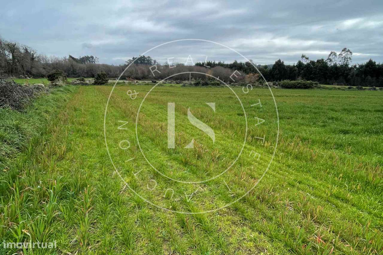 Prédio Rústico na Trofa - Grande imagem: 4/5