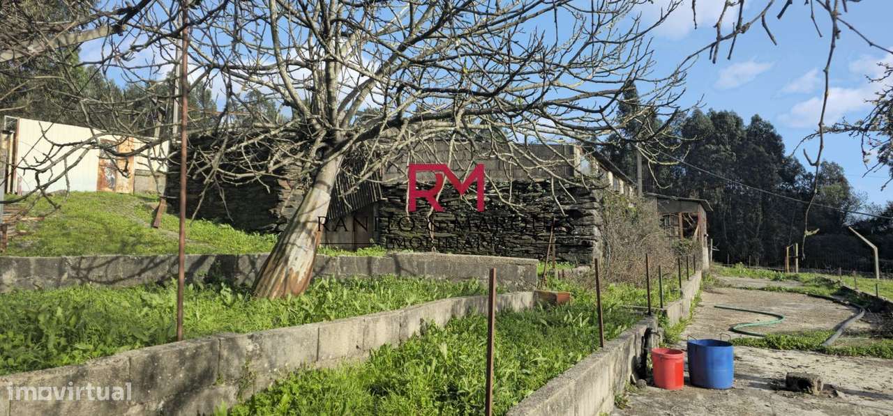 TERRENO COM 13000 m2 PARA CONSTRUÇÃO - SUSÃO, VALONGO - Grande imagem: 4/17
