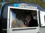 Inny Cheval Liberte Touring Limited edition - 4