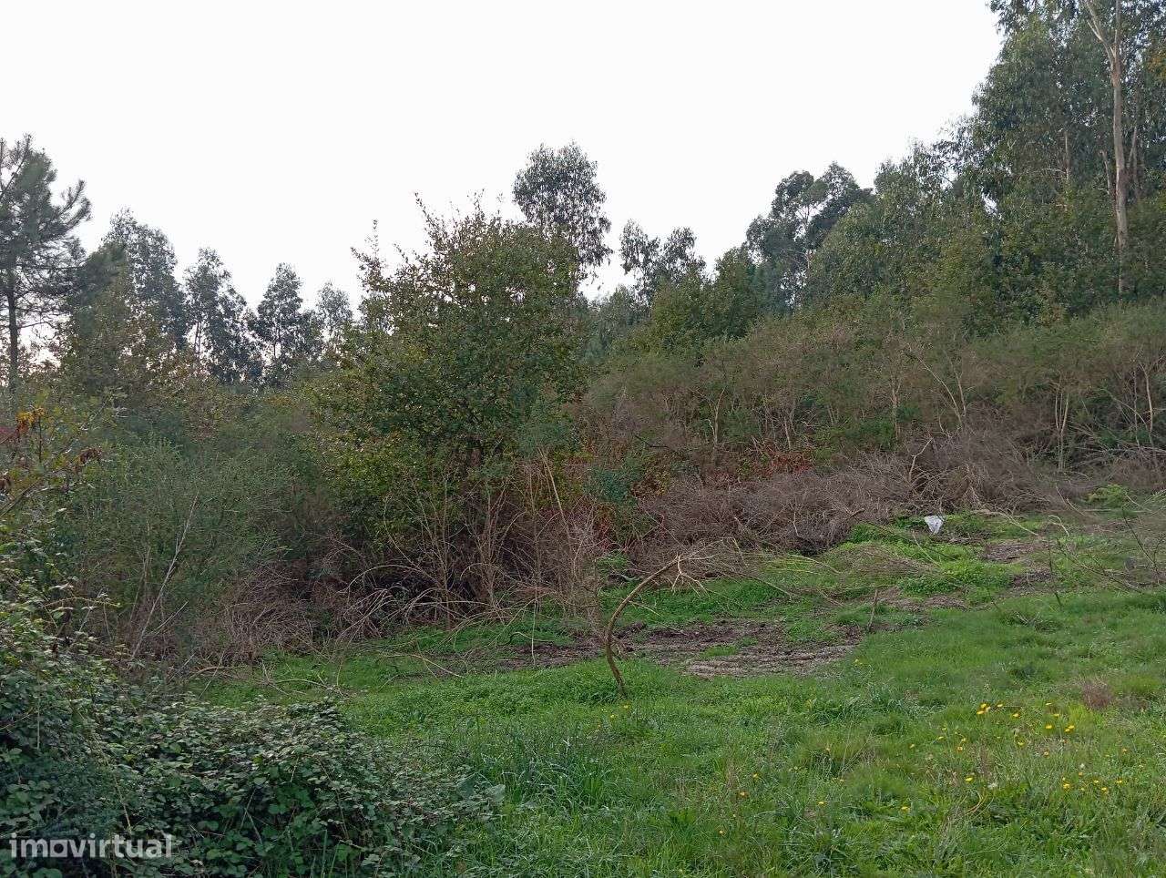 Terreno para construção com 830m2 em Ribeiros, Fafe - Grande imagem: 4/11