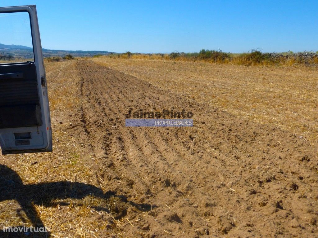 Propriedade 120.000m2 de terra excelente. Portugal, Figueira Castel...