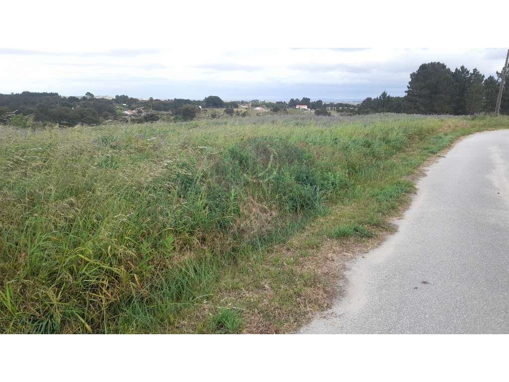 Terreno de 3.700 m2 p moradia unifamiliar - Grande imagem: 3/4