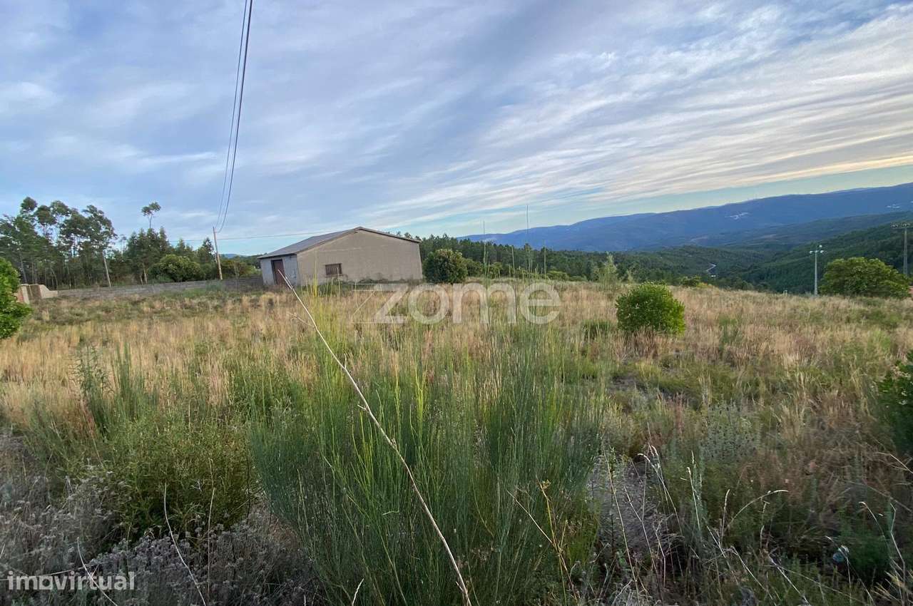 Terreno com 5.000 m2 em Brejas do Barco, Cambas, Oleiros - Grande imagem: 4/19