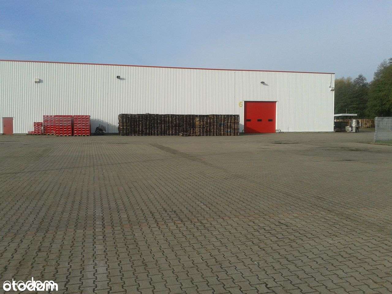 Hale produkcyjno -magazynowe z zap. socjalno-biuro - Pełny obrazek: 5/20
