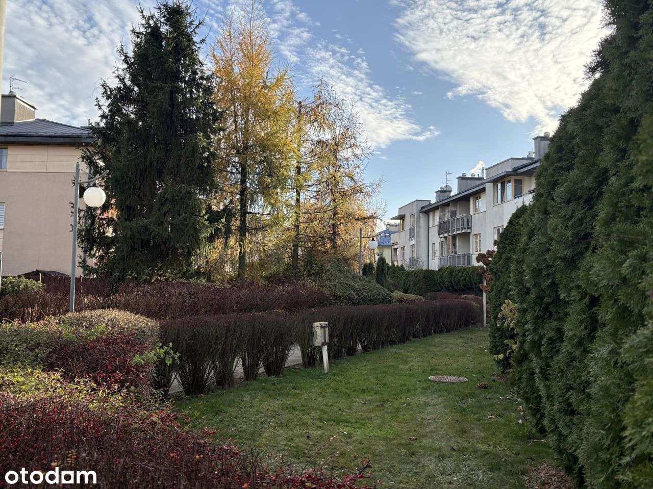 2pok.przyParku.Blisko do M2Kondr.Oddzielna kuchnia-19