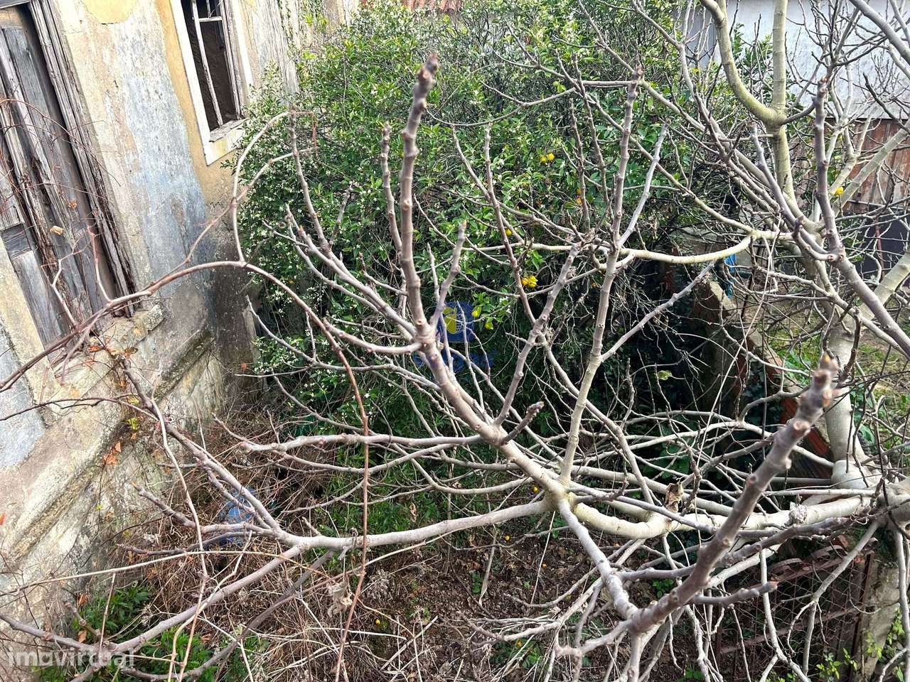 Baixa de Preço !!!! Villa para Recuperação na Labrujeira - Ventosa - A-33