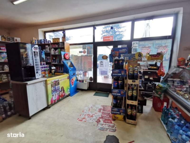 Casa+spatiu comercial in comuna Baita, suprafata utila 194mp - Imagine principală: 4/8