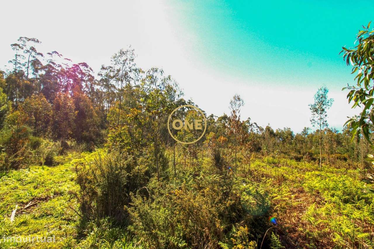 Terreno - Grande imagem: 3/10