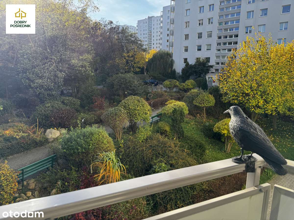 Sopot | 3 Pokoje przy samym lesie | Do remontu - Pełny obrazek: 4/13