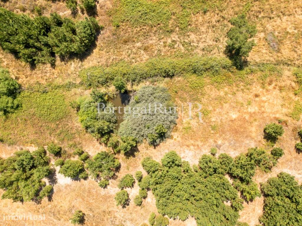 Quinta de 20ha com projeto para Turismo Rural a 1h de Lisboa-13