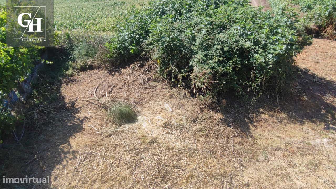 Terreno em Brufe-6