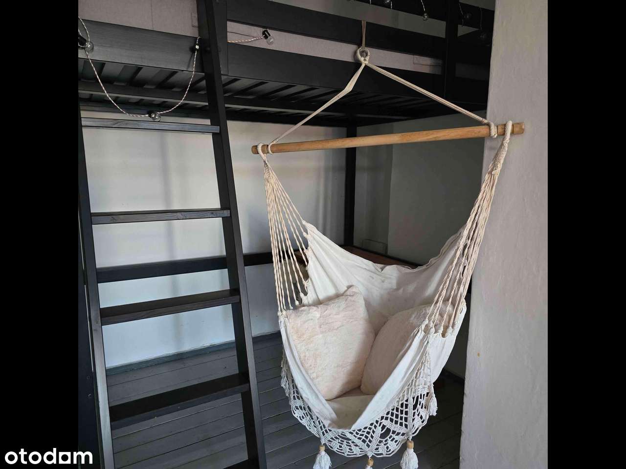 Kawalerka 40 m2 ul. Kleczkowska - kamienica po remoncie elewacji-4