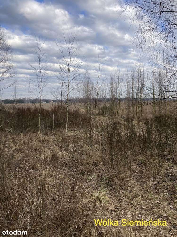 6 działek - Grunty orne -  Lasy - łąki - Pełny obrazek: 5/8