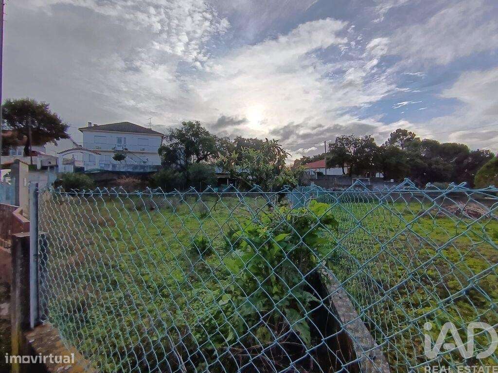 Terreno em Chancelaria - Grande imagem: 3/11