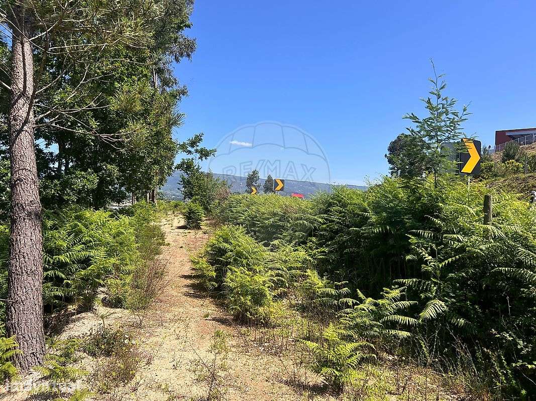 Terreno  para venda - Grande imagem: 5/8