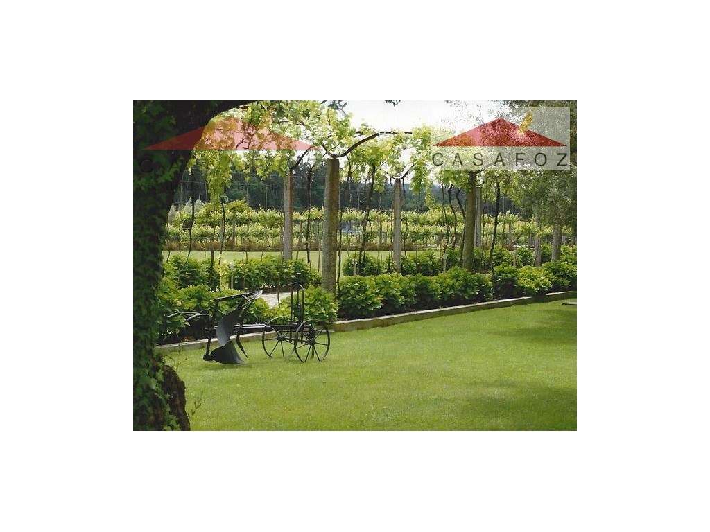 Viana do Castelo - Venda Quinta-17