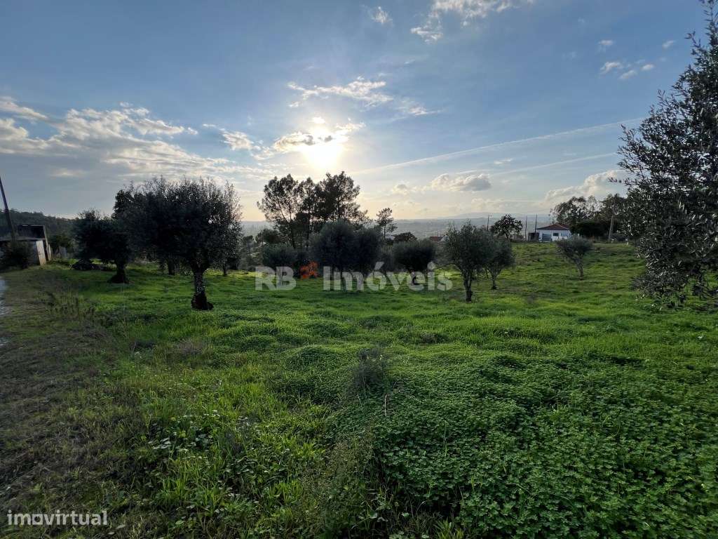 Terreno com PDM com 14240 m2 - Carril, Tomar - Grande imagem: 5/18