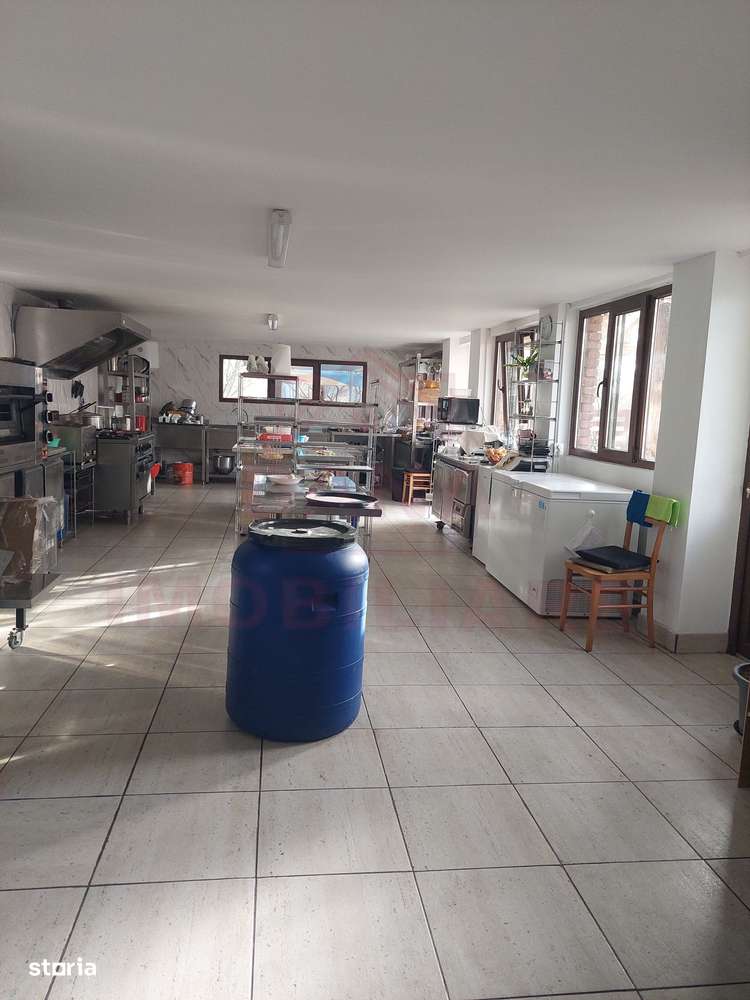 CASĂ\VILĂ DE VÂNZARE \COM. OBREJA\SAT IAZ\CARAȘ-SEVERIN-19