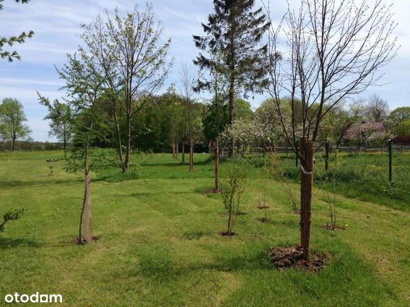 Słupsk - Runowo Sł. . Rolna 3050 m2. Morze .Okazja-0