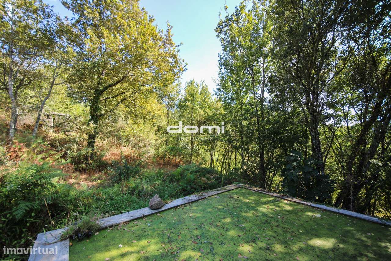 Terreno com mais de 25.000 m² na Comenda – São Pedro do Sul - Grande imagem: 4/7