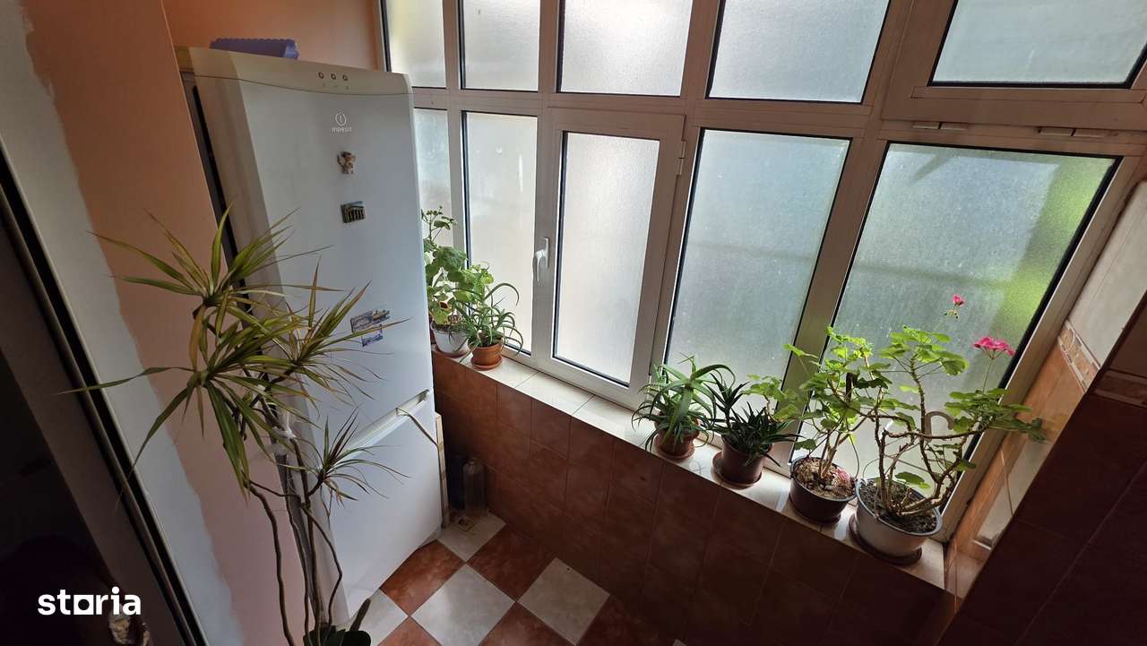 Apartament 2 Camere Parter Sud Echitatii M-uri-9