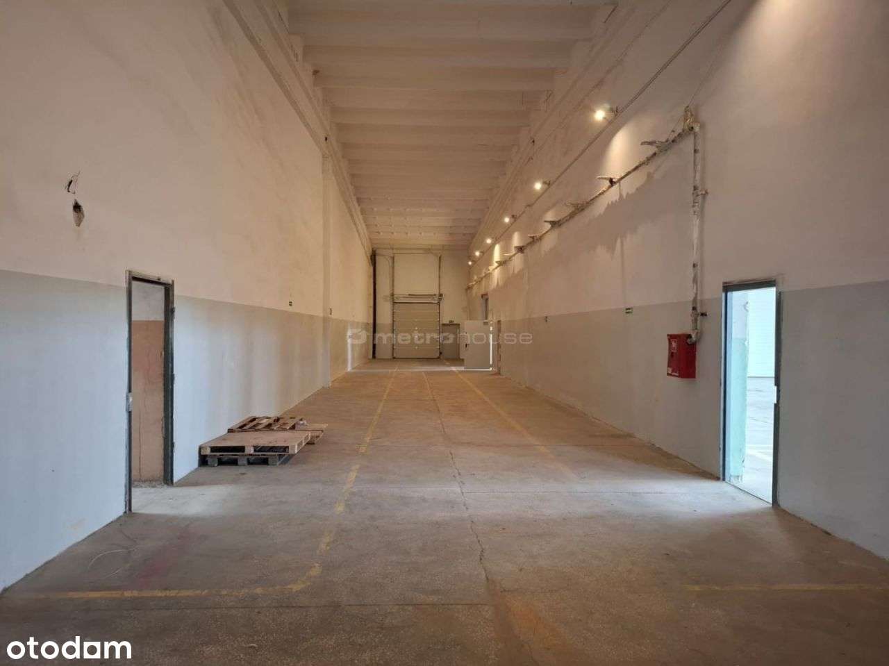 Wynajem hali w Toruniu o powierzchni 1518,4 m2. - Pełny obrazek: 5/9