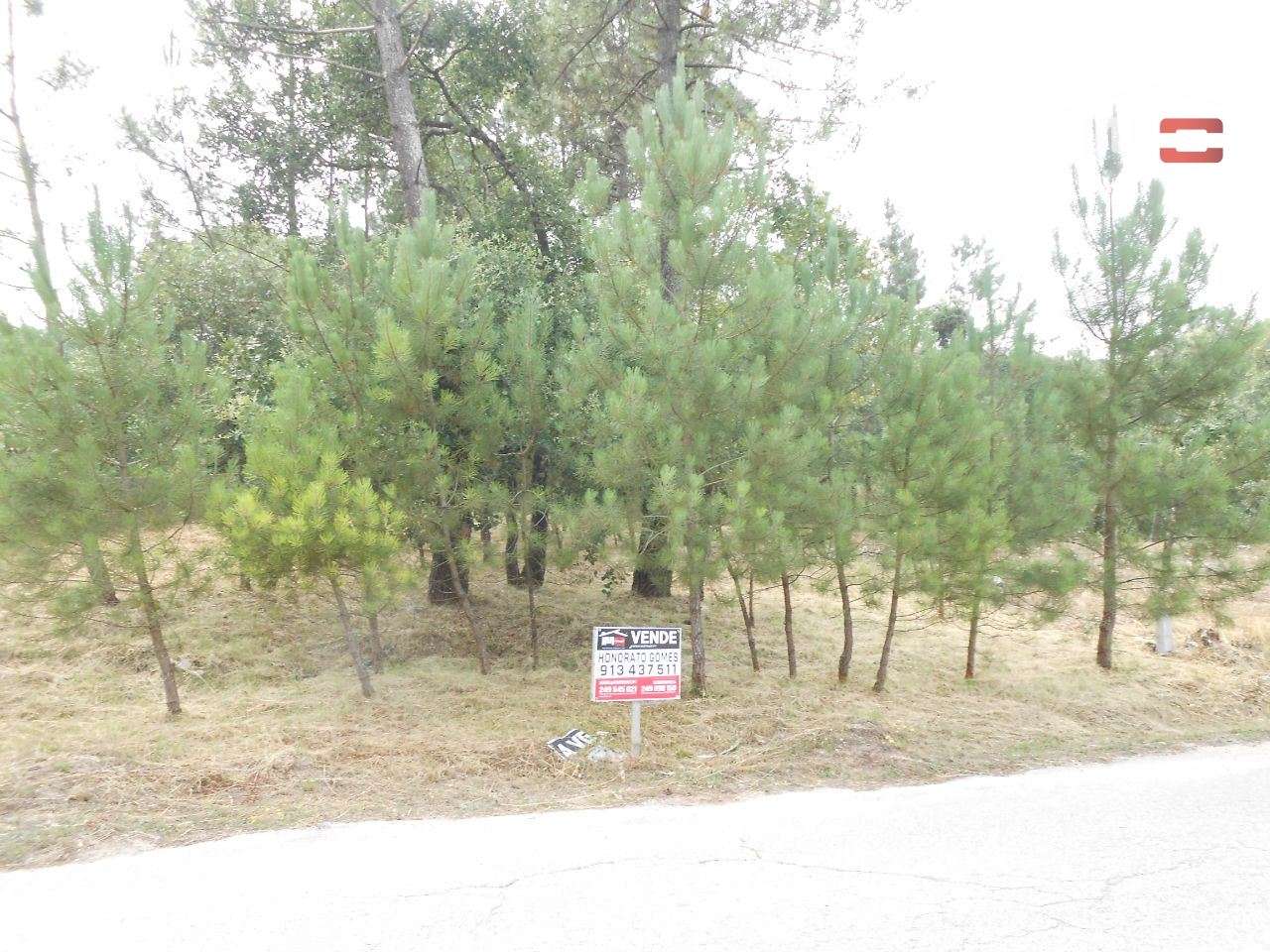 TERRENO PARA CONSTRUÇÃO COM 1640 M2 MUITO BOA LOCALIZAÇÃO BOUCEIROS... - Grande imagem: 3/15