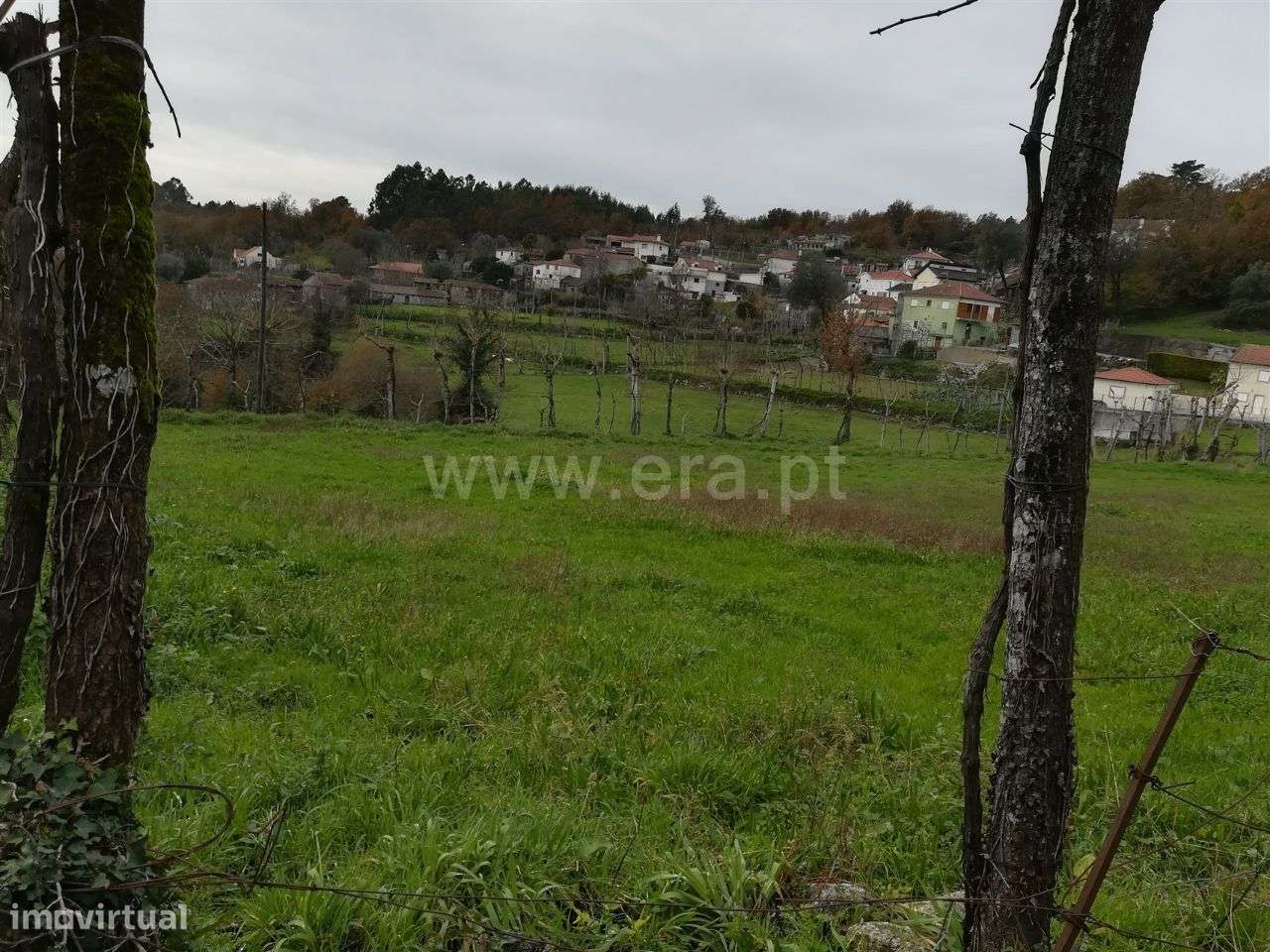 Terreno em Ribeiros - Grande imagem: 5/14