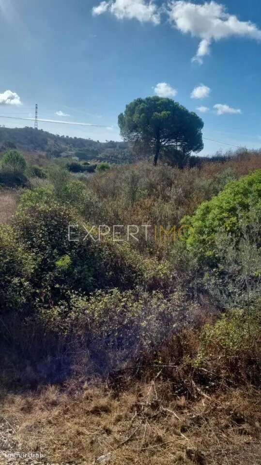 Quinta com moradia para recuperar - Silves - Grande imagem: 5/7