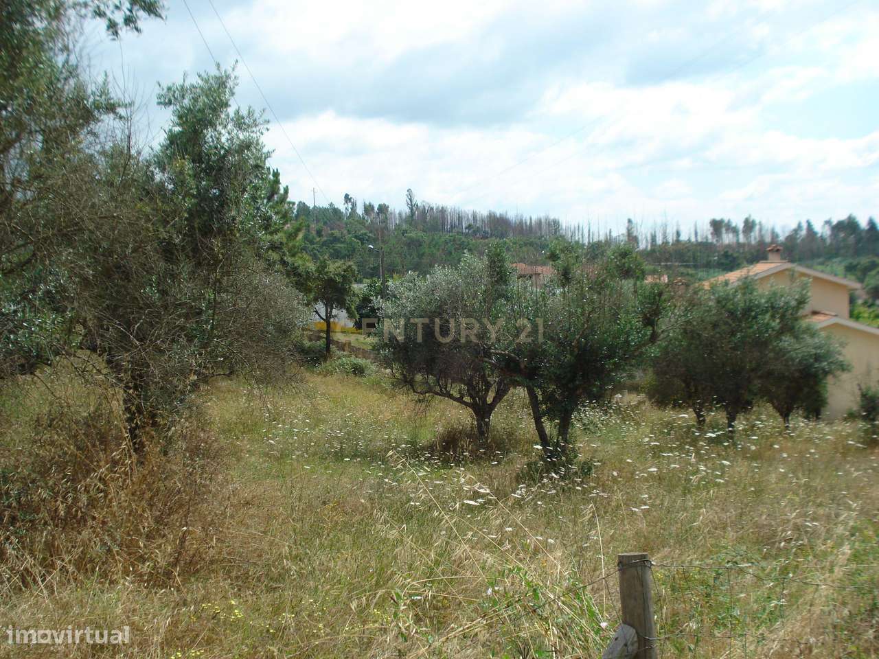 Terreno para construção com vistas boas num local sossegado a 10 min d - Grande imagem: 4/5