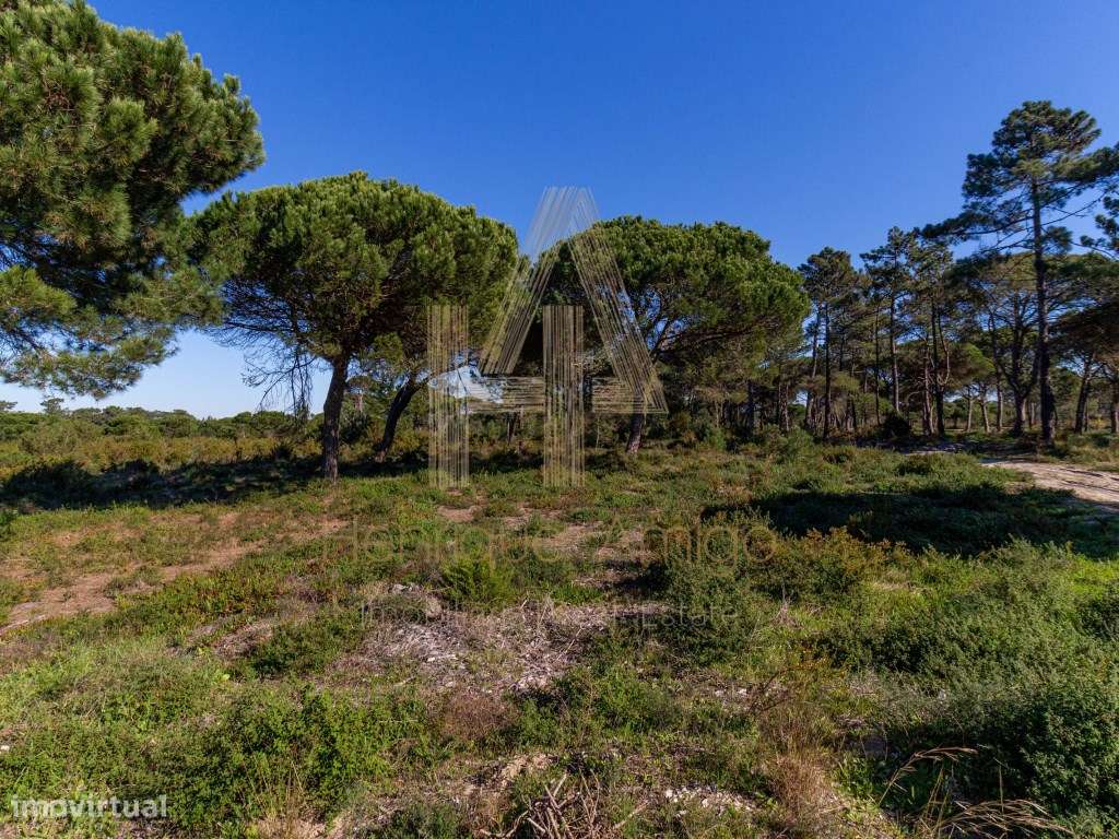 Terreno rural em Aldeia do Meco - Grande imagem: 4/7