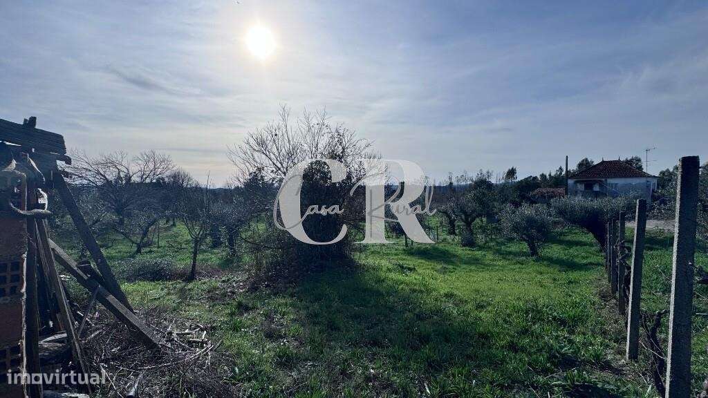 Quinta com casas de pedra para recuperar, poço e furo-23