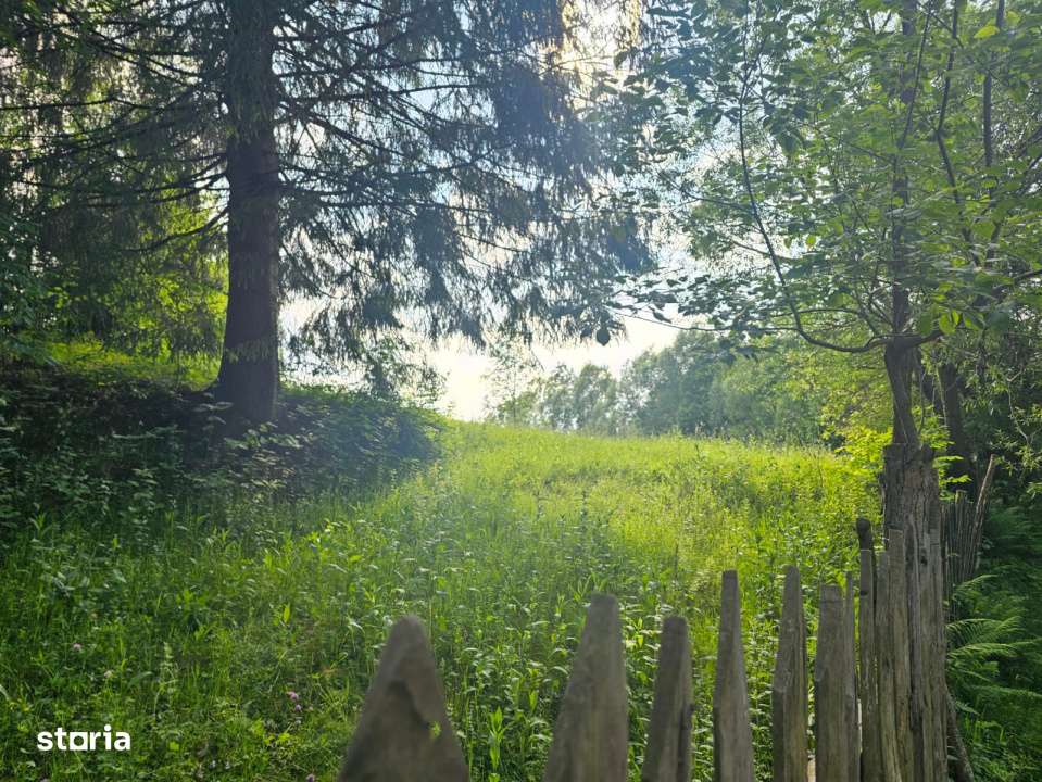 TEREN DE VANZARE APROAPE DE PADURE - Imagine principală: 4/11