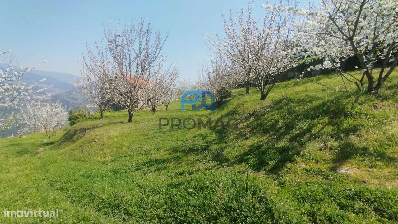 Quinta do Valado- Excelente Investimento em Resende-17