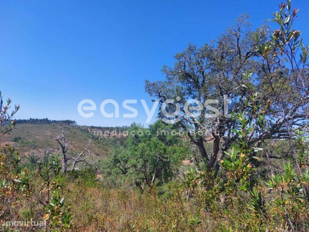 Terreno Rústico com 68.250m2 localizado na freguesia de Luzianes-Gare - Grande imagem: 5/15