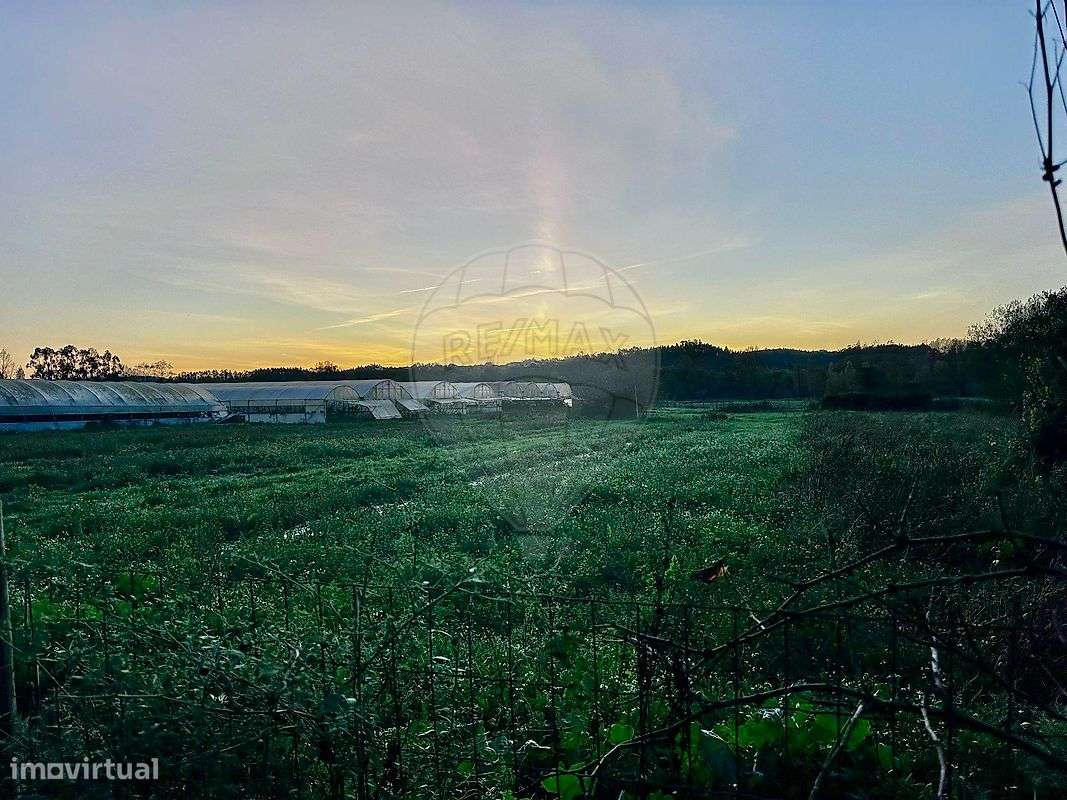 Terreno  para venda - Grande imagem: 4/15