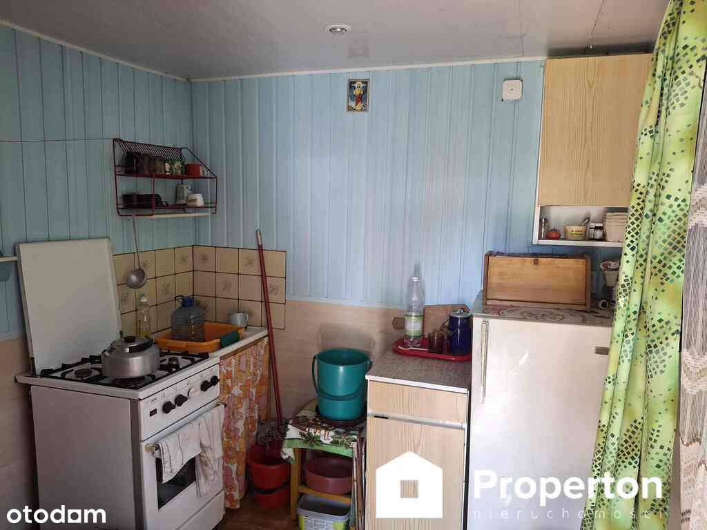 Klimatyczna działka z własnym lasem - Pełny obrazek: 4/10