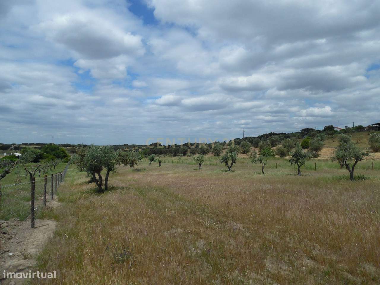 Quinta em Capelins,  Alandroal - Évora,  Oportunidade Única-29