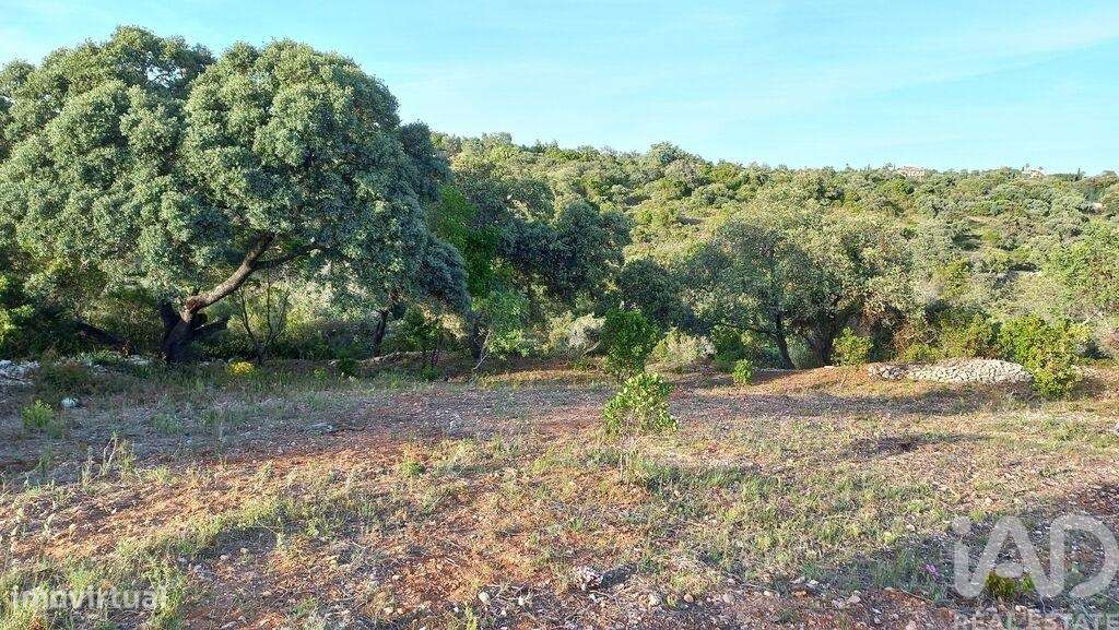 Terreno em Santa Bárbara de Nexe de 1880,00 m2 - Grande imagem: 2/6