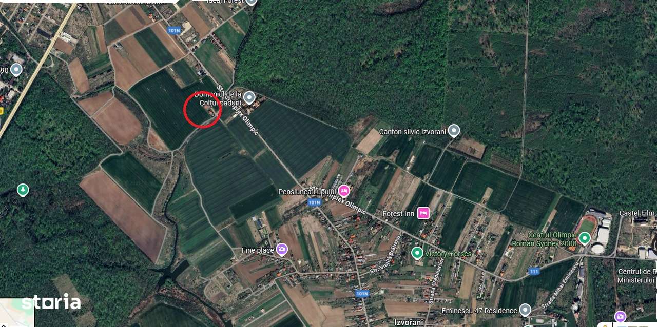 Ciolpani, spre Izvorani - COR, vanzare teren 5000mp. - Imagine principală: 5/14