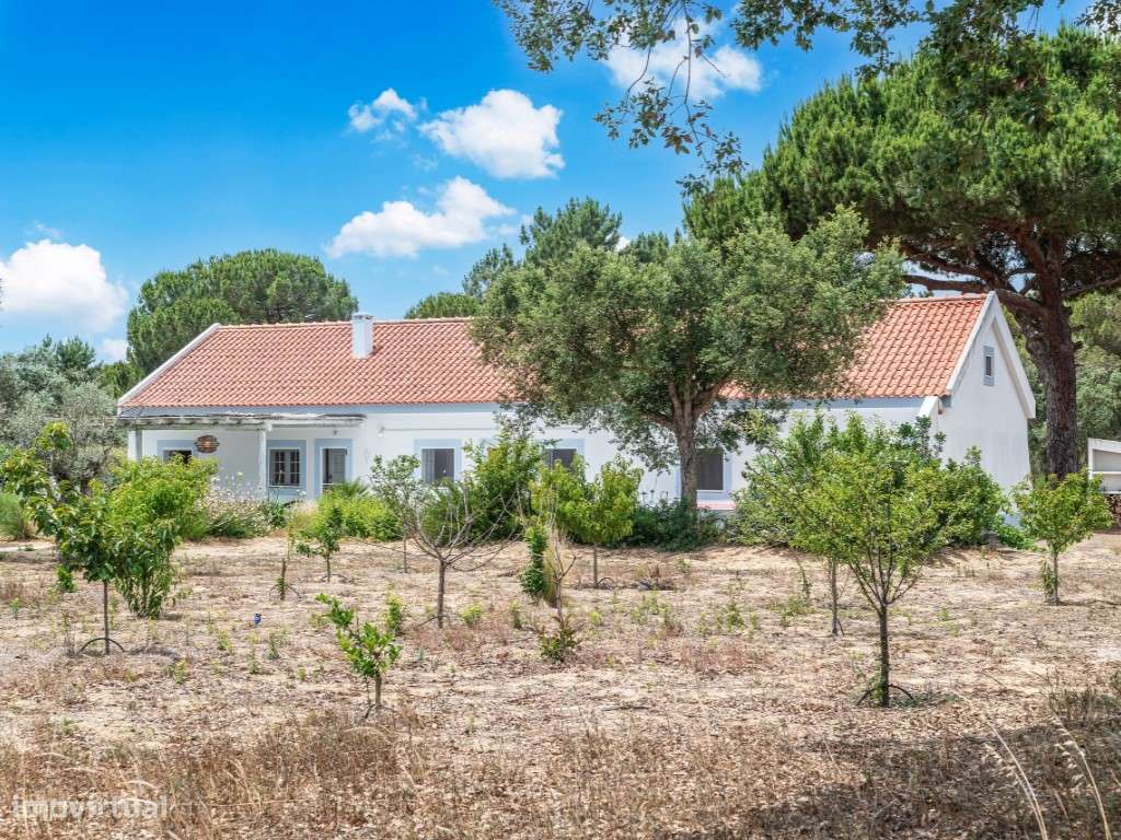 Moradia independente T4+2, Piscina, Fontainhas do Mar, Melides - Grande imagem: 4/45