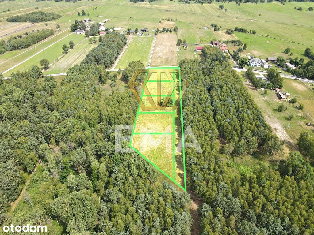 Piękne działki na sprzedaż Michałopol Gidle - Pełny obrazek: 5/8