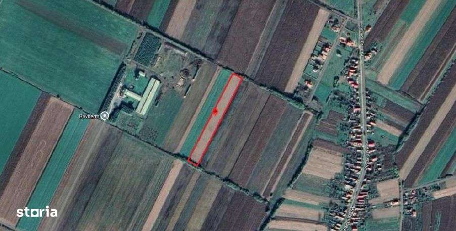 Teren extravilan com. Botiz, jud. Satu Mare, - Imagine principală: 2/3