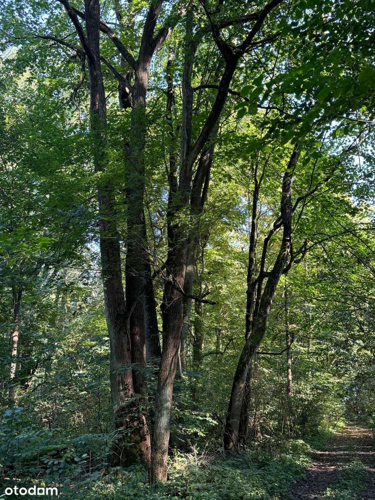 Historyczny Dworek w Łukomiu-17