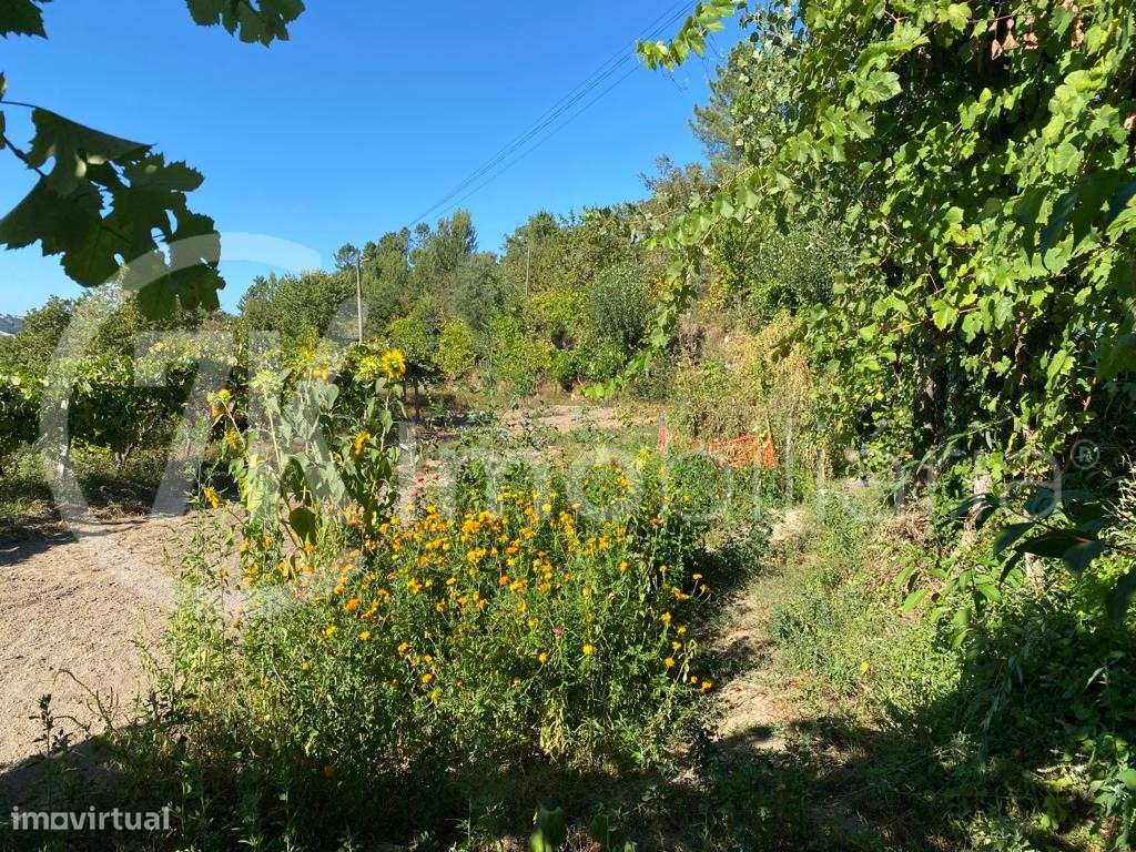 Terreno em Aliviada-4