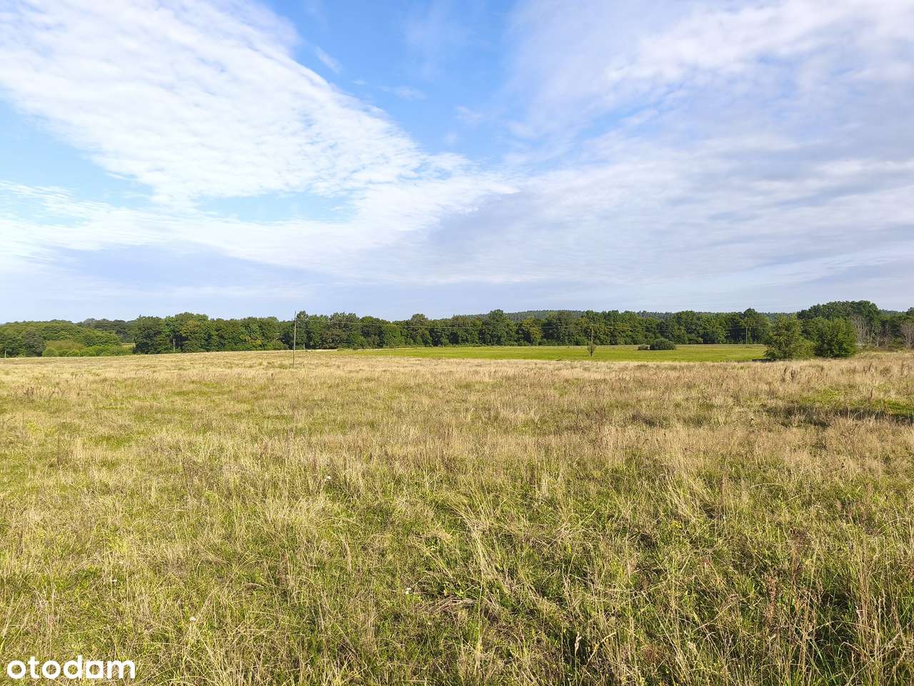 Z dala od spojrzeń sąsiadów-4